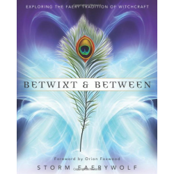 Book Betwixt & Between by Storm Faery Wolf